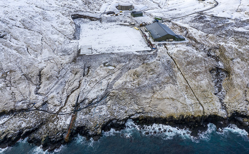 12Feb21 0731 1024Pxjpg (2)